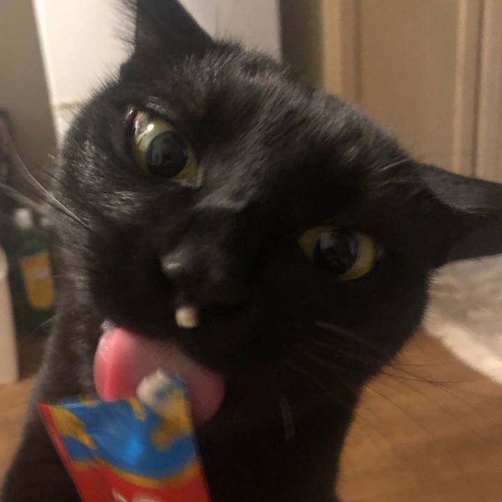 3bdb1369 87a1 4031 94ee 7ac8bbb8c86e 1631185072434