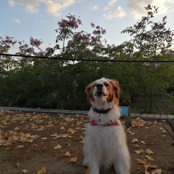 3bdb1ed3 c20d 450b 9c8f 134167b8ab0b 1606822402974