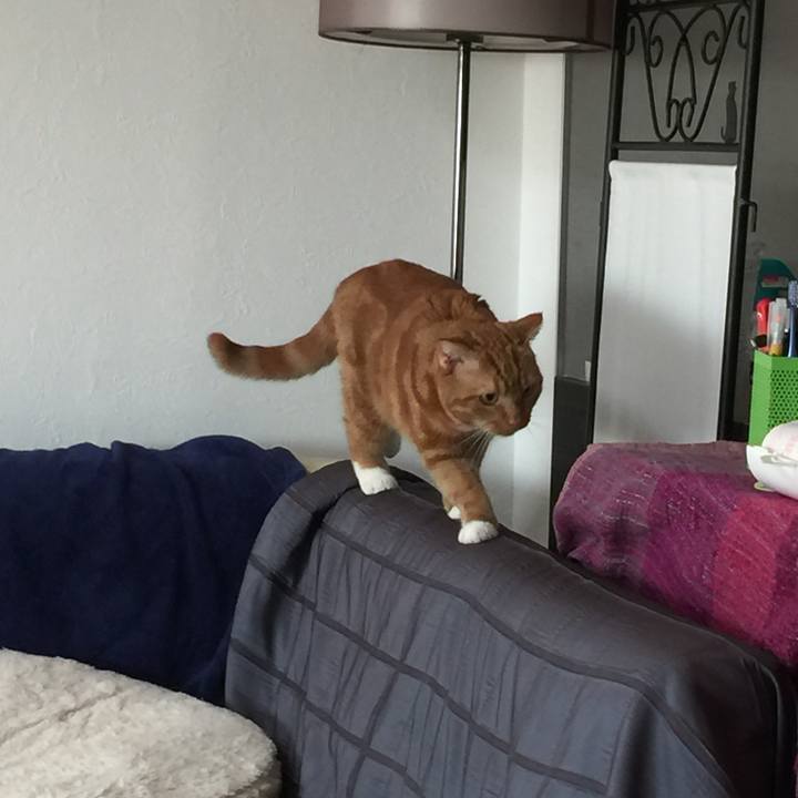 3bdb82fc 0997 458e 8dc2 32bfeced2c7a 1542153845614