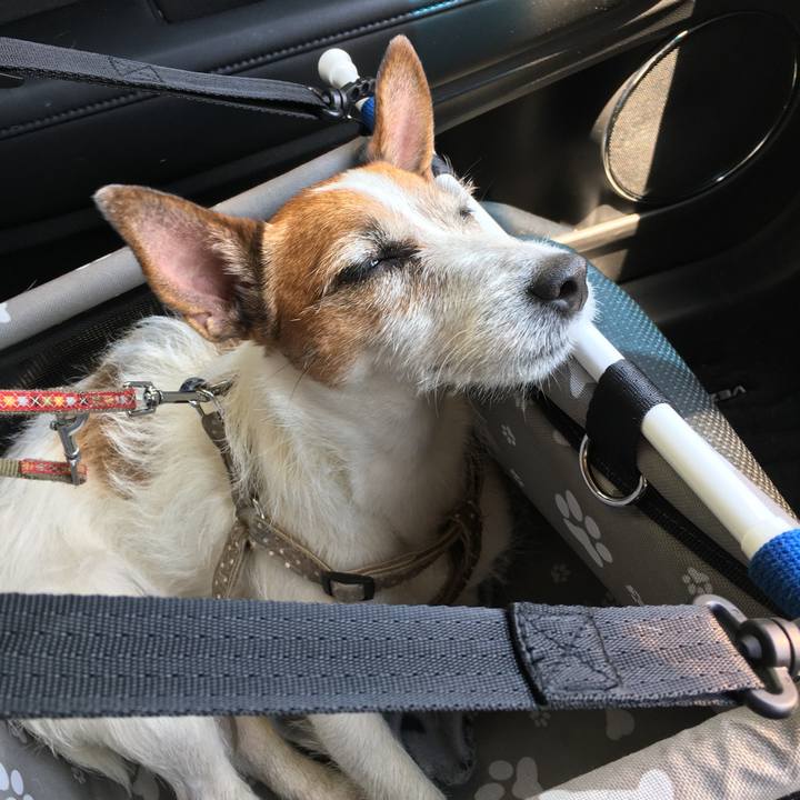 3bdb8b15 54a5 4234 a8bc 6a0fbe3f072c 1558839742536