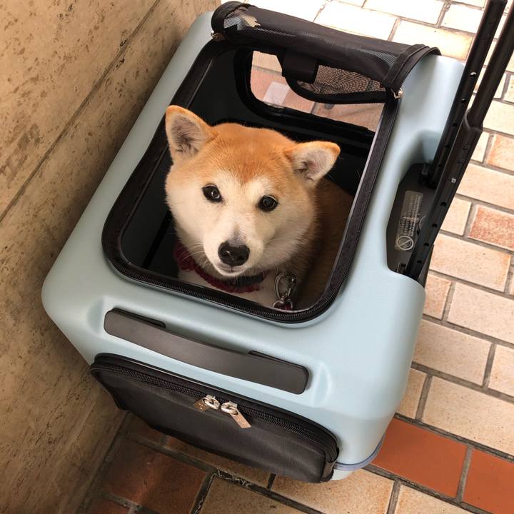 3bdbca49 6794 4790 9c05 a3b952b5149b 1676706123163