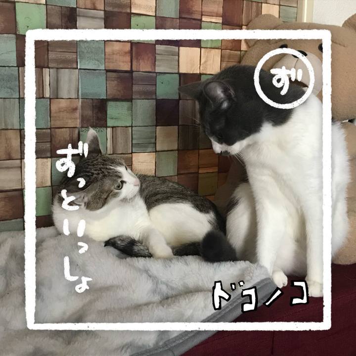 3bdbcb80 eacf 4850 be63 ffae63983314 1685944074404