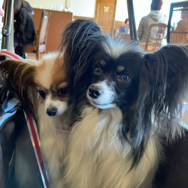 3bdbd1f7 45f3 4413 8f33 d5c8754a0ac0 1556890983094