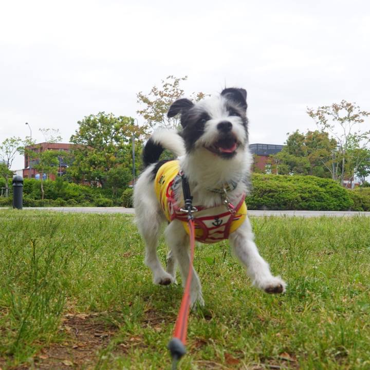 3bdbe148 7e6a 4576 b2e7 ffd147a03cf0 1527110303332