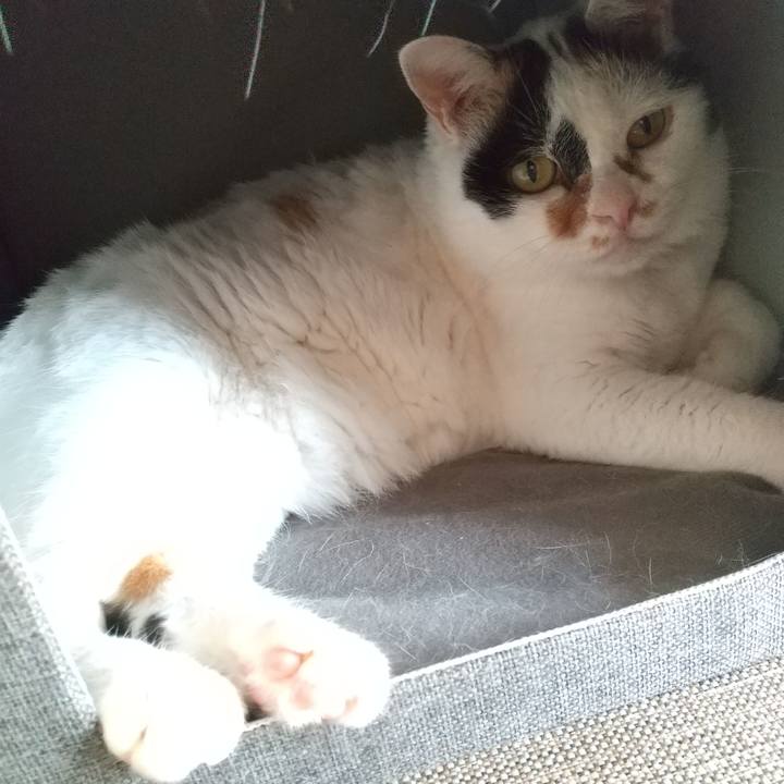 3bdbfe7e 2c81 45eb b219 f6eab136082c 1663137907629