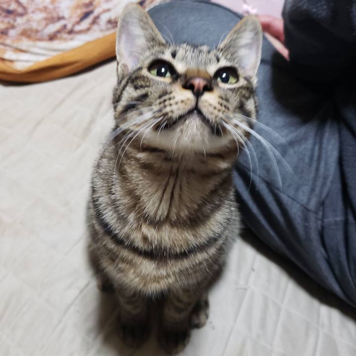 3bdc5cea 251f 4b35 b173 06dc705d5bea 1547942679907