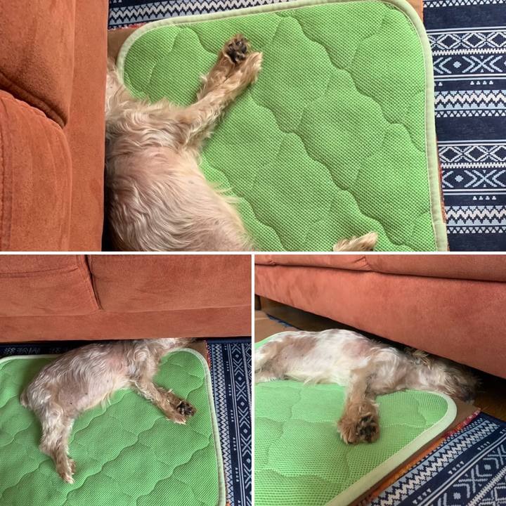 3bdc70a7 dadb 45e3 9bdb 2e7e1ebea5c6 1690279195352