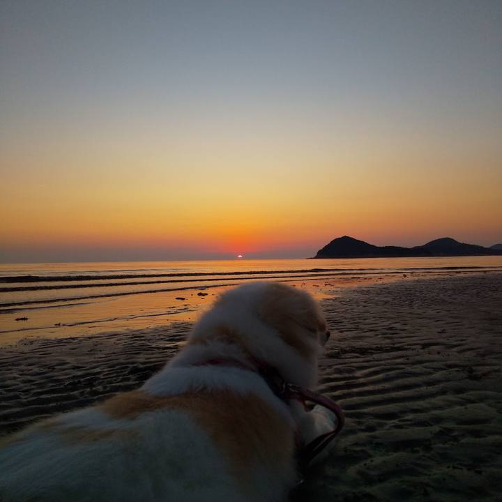 3bdc8cfb b67d 4ffd 8a6a 4317c2f1abfb 1566731715707