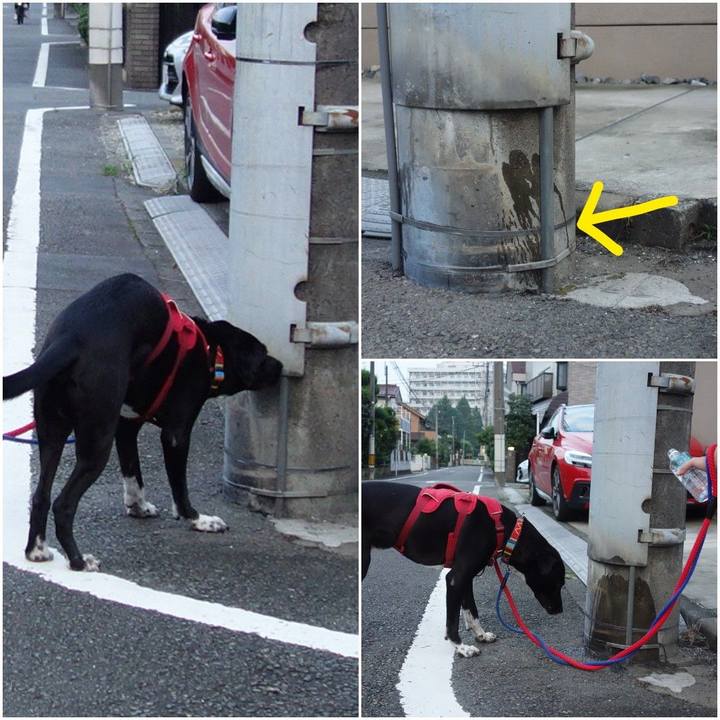 3bdc9e8d e4f1 4e5e 85bb 2e18cc10f302 1596191524149