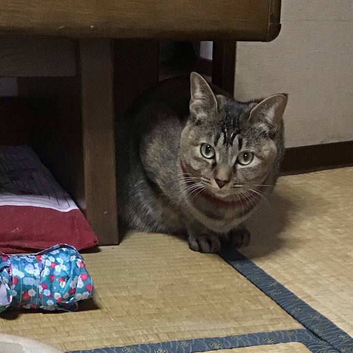 3bdcabcc 97e0 45d5 b507 816bf6c27d63 1611449453282