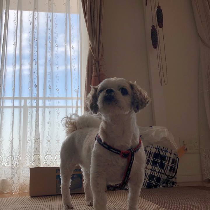 3bdcad67 ee55 4842 8c5c bcde016b1c43 1593929495265