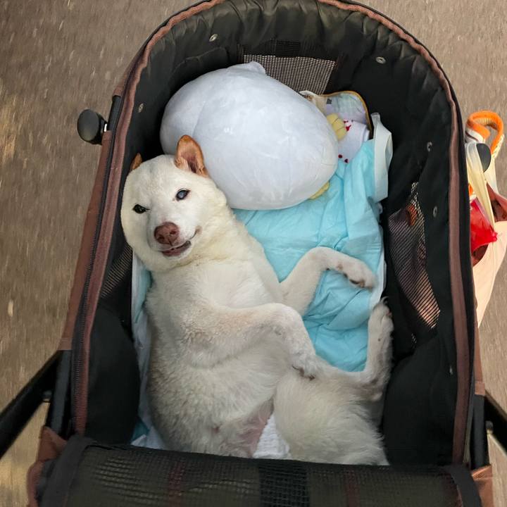 3bdcb914 4eeb 4b67 9363 1edb3d5898d5 1666289178497