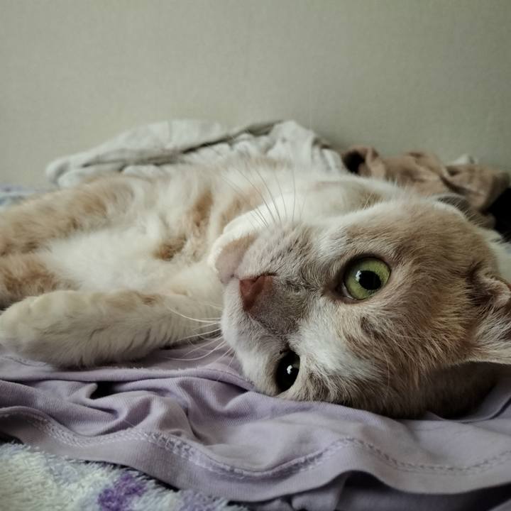 3bdcc050 1fe2 4b4b 8629 e935435eeccc 1655848683624