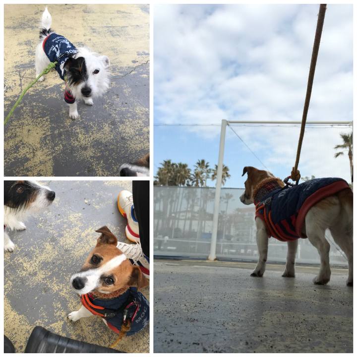 3bdcd490 e5e2 4cfd b9a4 8c9984652eb9 1516435185834