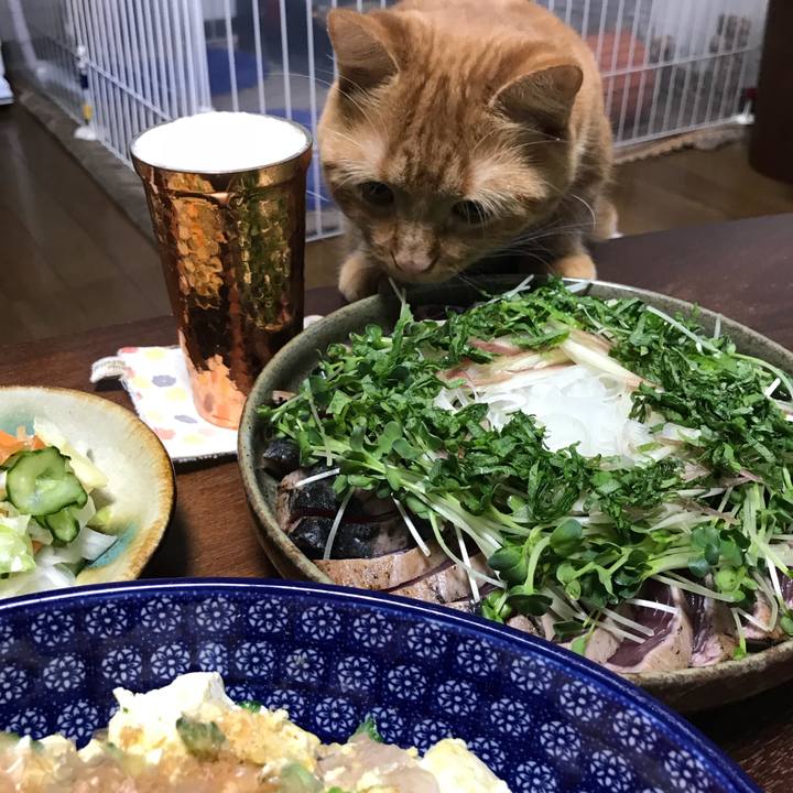 3bdcf710 8ce8 4260 8359 cc5f976f83d9 1534244687044