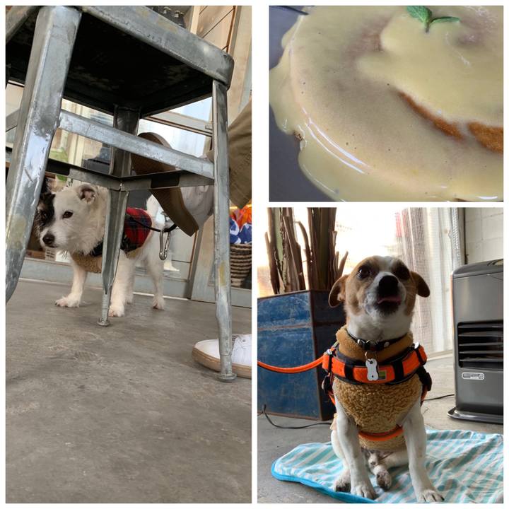 3bdd65bf 2b88 4186 be0c 17973aacb1cd 1549766103897