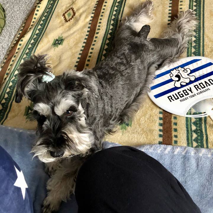 3bdd67e8 fa08 4bac 95e8 48c83fe71781 1684583572156