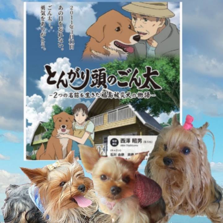 3bdd74fd 7a0e 4ae1 927b 55e89a8bd3fe 1710047677972