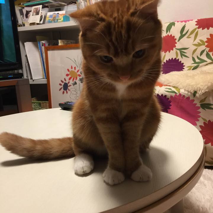 3bdd8deb be4e 46bd bdd7 17ee0237e07a 1541685351376