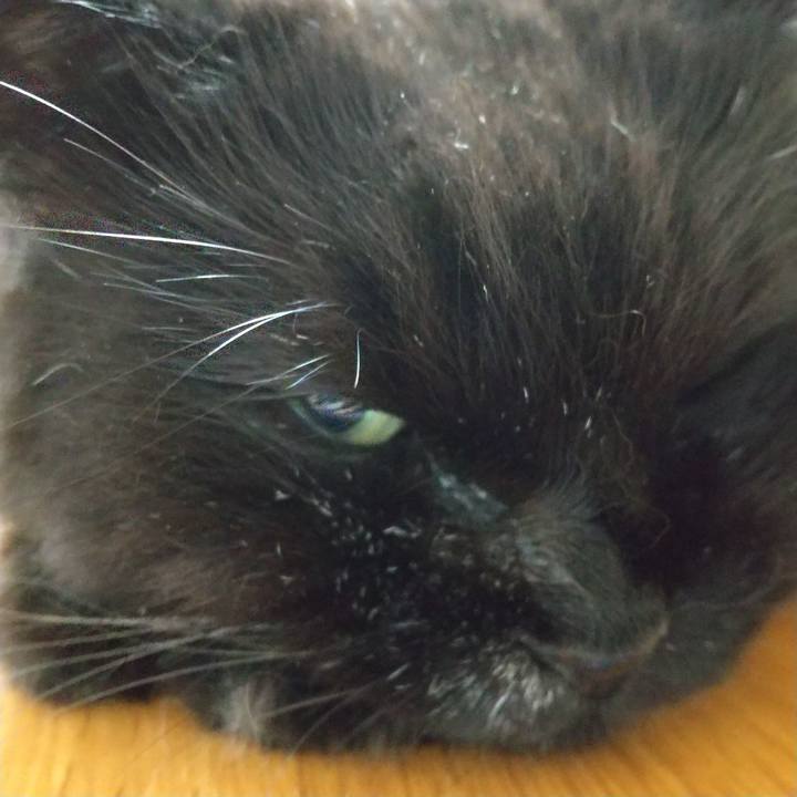 3bdd8e75 3977 498b 88ba 3baa99f4e6fb 1658395712145