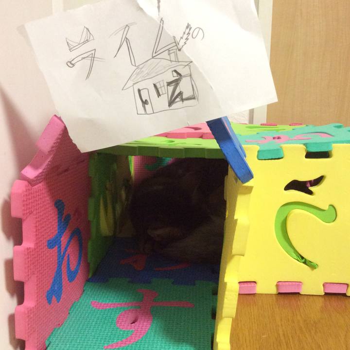 3bddadc8 fe40 473b 8cd2 0b4905ed7f60 1567602247994