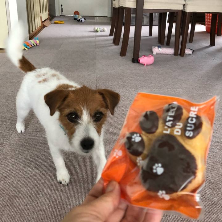 3bde0933 780d 49b3 9156 943ccfaa1b88 1533530612550