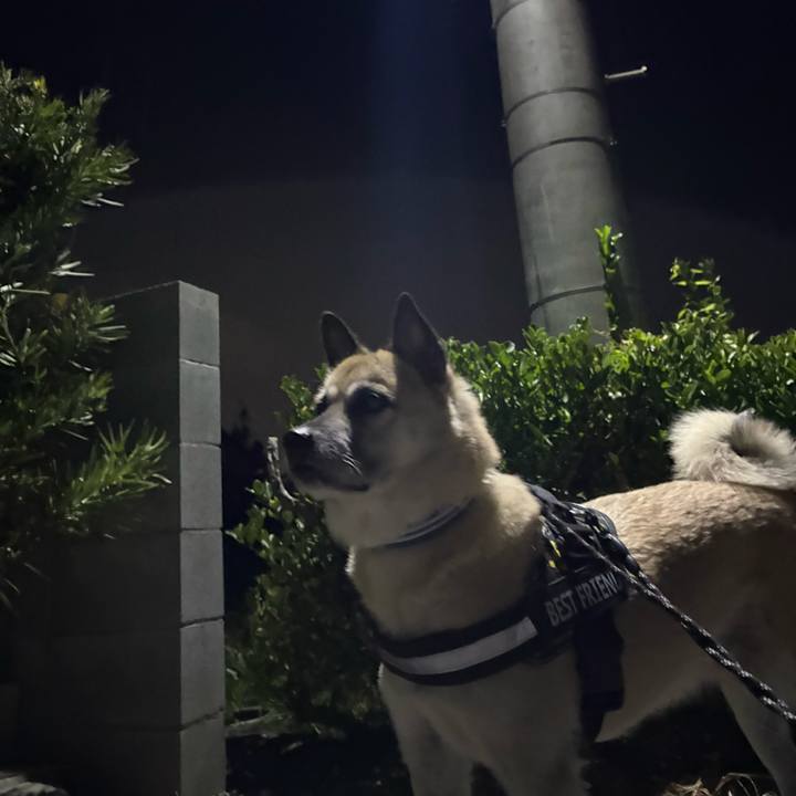 3bde1835 5227 4760 b3e6 70975c05560d 1763643825829