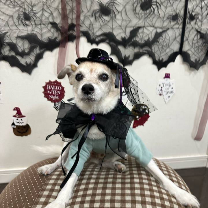 3bde360b bbf3 4ec4 a1cf e127c8f441da 1761865203443