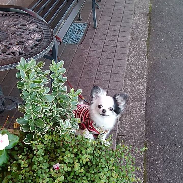 3bde7115 3c40 4ec6 83a0 0290468b3645 1569678963022