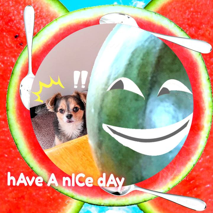 3bde9ddf 1d54 44f6 a187 71e341237638 1660885401738