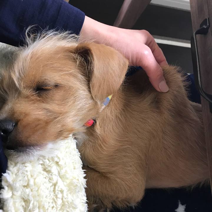 3bdea5ae 702a 4cac 9693 cec33cf39fbe 1519990418486