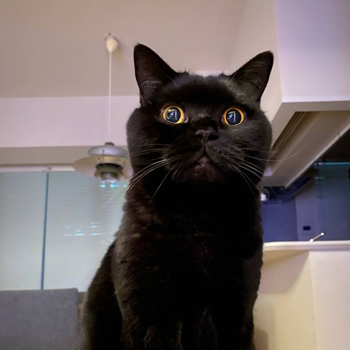 3bded127 e923 46fa 9177 b0d587dfddb8 1766320981244