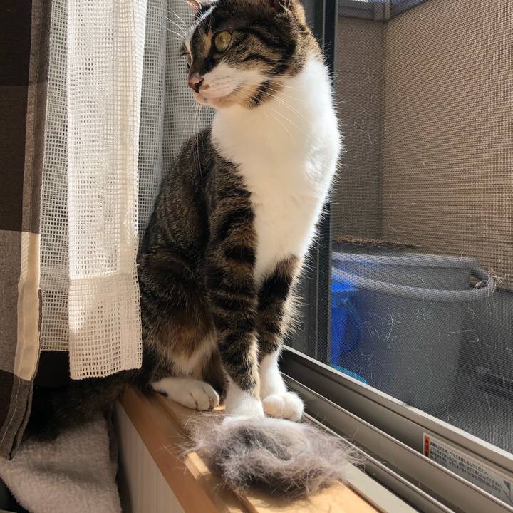 3bded39f d56e 4282 8e96 bb9f08127fa8 1584675773925