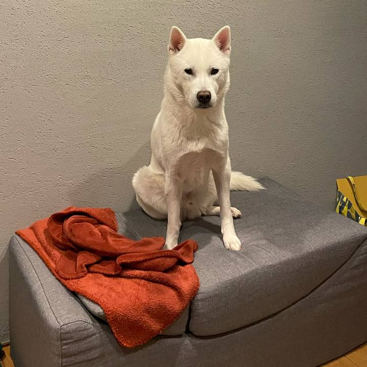 3bdee974 f3ee 44ac 8e57 bb0f2a0da10e 1643969762764