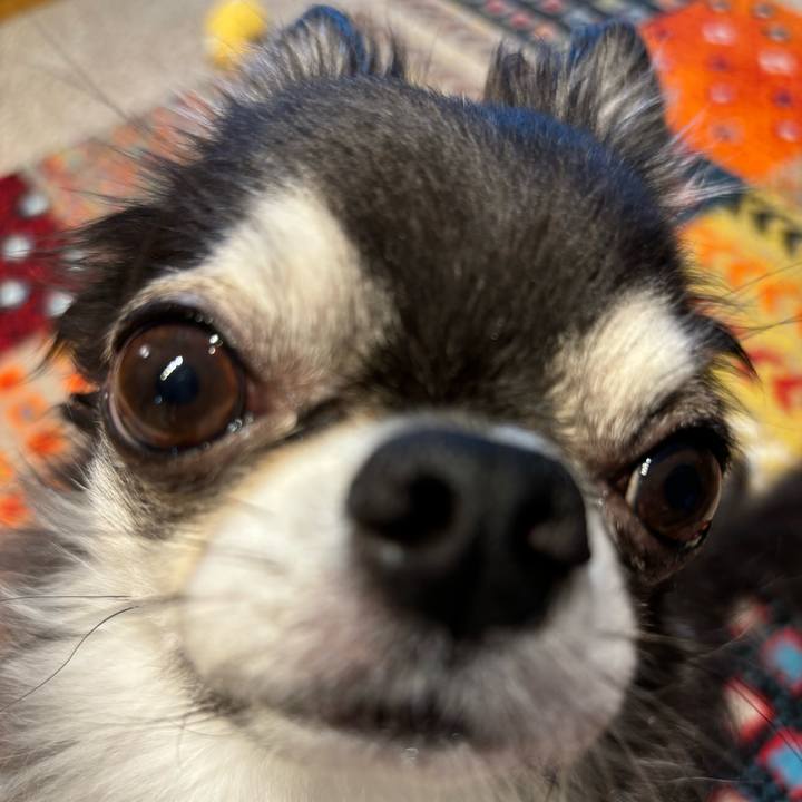 3bdee994 9ce9 4cb7 abab 7fe666d3853c 1722035531527