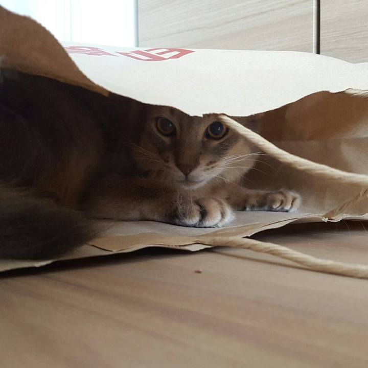 3bdef167 bf05 4329 bfb2 45e823db93b3 1524894613489