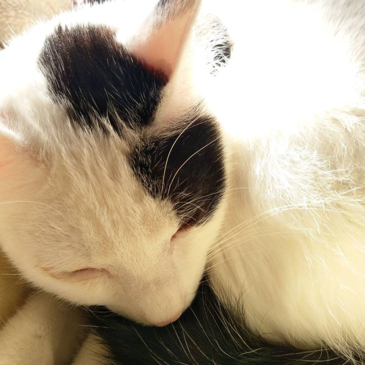 3bdf2705 9170 40cf adee 2e72a1a3adf2 1530114197888