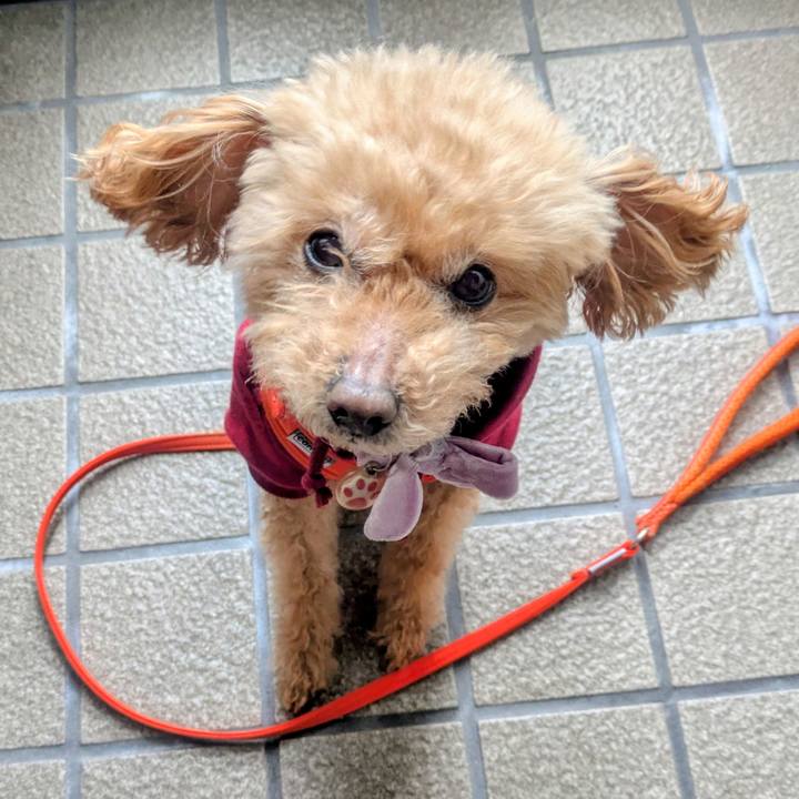 3bdf3150 59ee 4079 af64 f6f6ab00e6e5 1771550837809