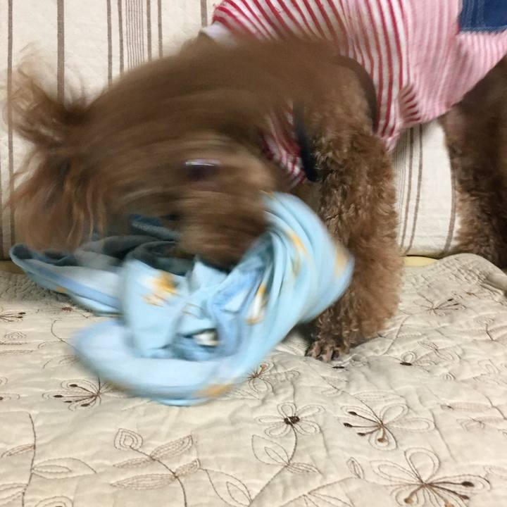 3bdf49aa 2c4d 4c9c 83eb 45ff8db44b03 1531131271085