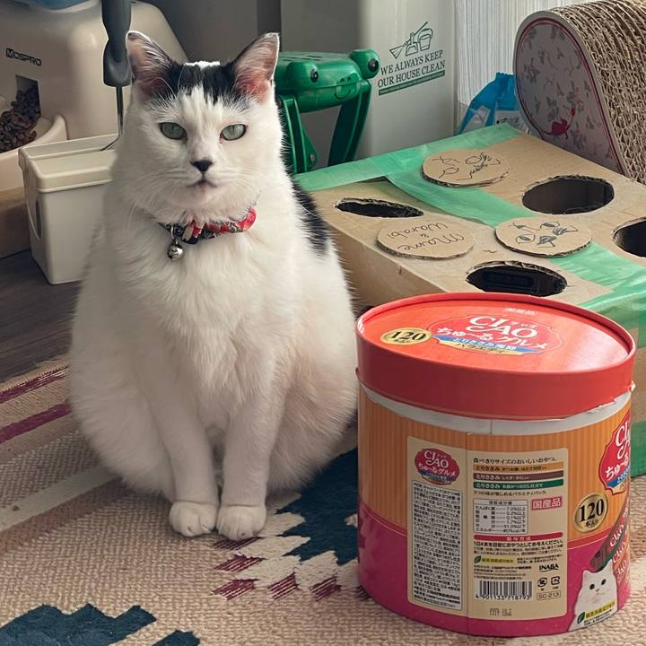 3bdf4c75 3c88 426c 93be b3c8b6dc8e3d 1733552104771