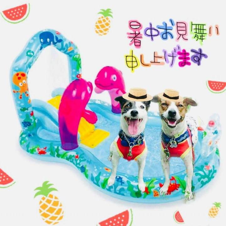 3bdf9786 84d4 4e2c bdee 6b9441651fe8 1564614394615