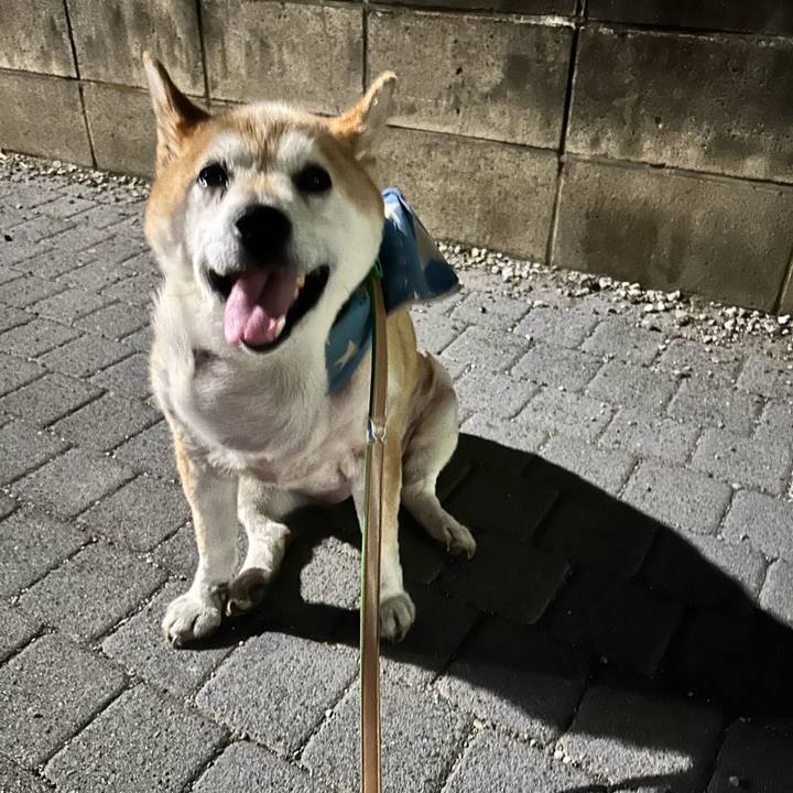 3bdfb108 0af9 4469 a05f 8cabc84e2cd6 1755687073700