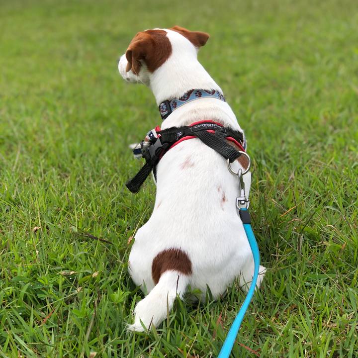 3bdfc2e7 f337 40f4 9f6c caa1e6ed901c 1601545376470