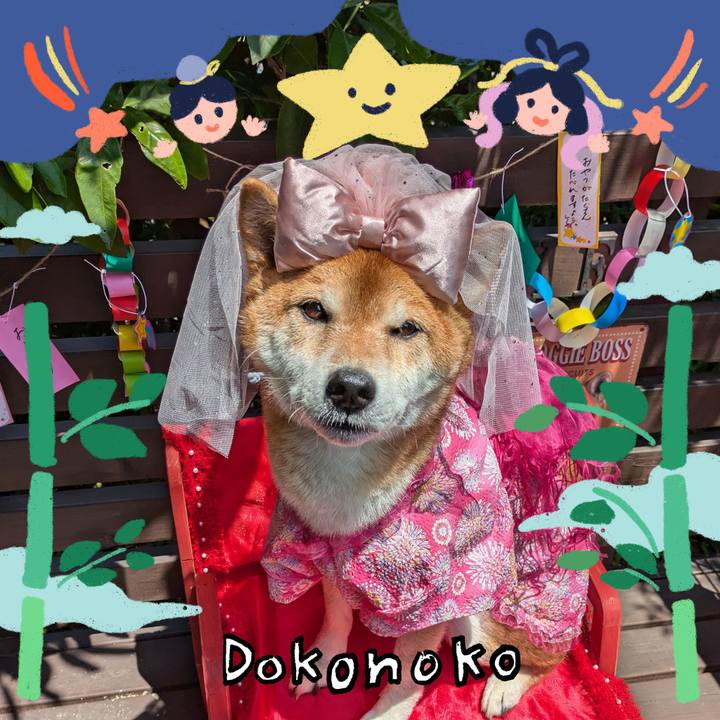 3bdff041 a9e7 469f 8dd6 d66154d15260 1720876623978