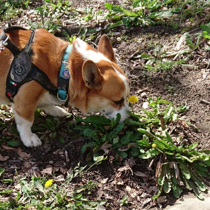 3be00639 f834 4cf3 a436 0ba88c53a229 1648348840767