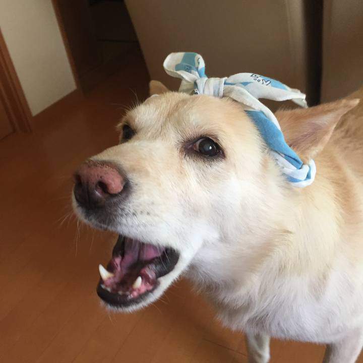 3be01f11 8f1a 4b2e 8785 60b6e7c870cd 1534088082427