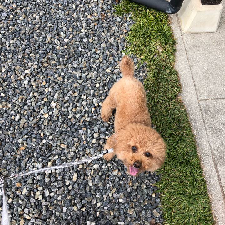 3be02394 9e7d 4dcb 9e5c a347ddbc4787 1583757991275