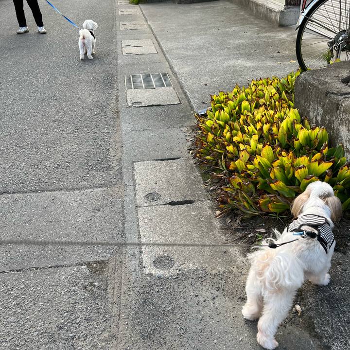 3be03aeb db6b 439f b5d2 94186c1ff187 1662507998133