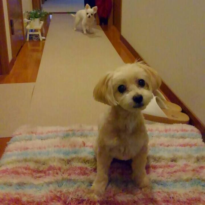 3be05120 158a 40c2 8337 06639526a226 1563188498510