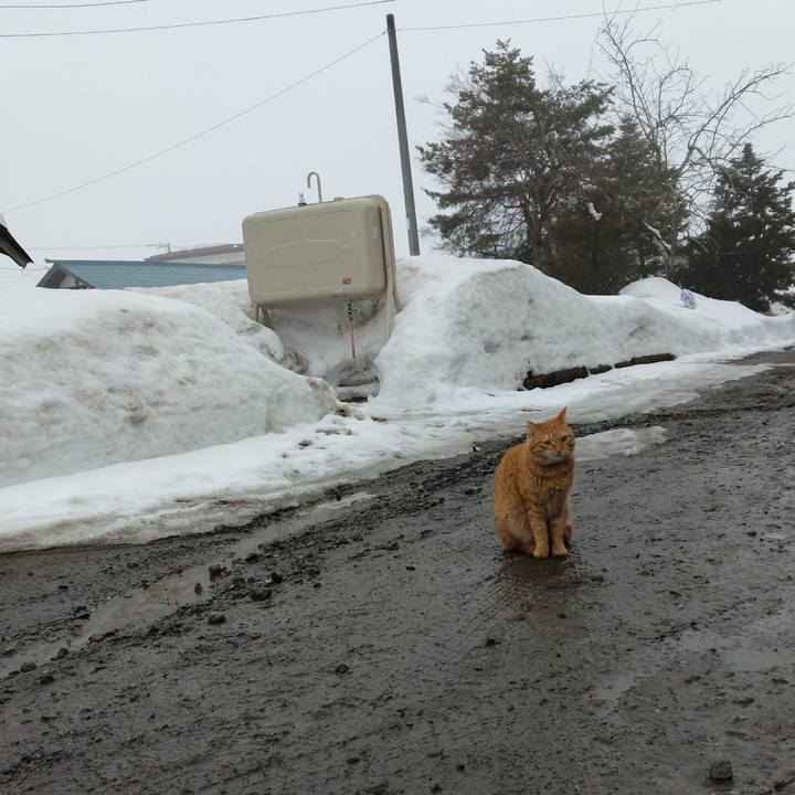 3be0b9fb eb89 4370 9315 2410d3b97767 1675810516210